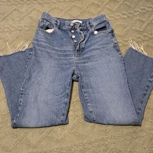 PacSun High-Rise Button-Fly Blue Denim Jeans